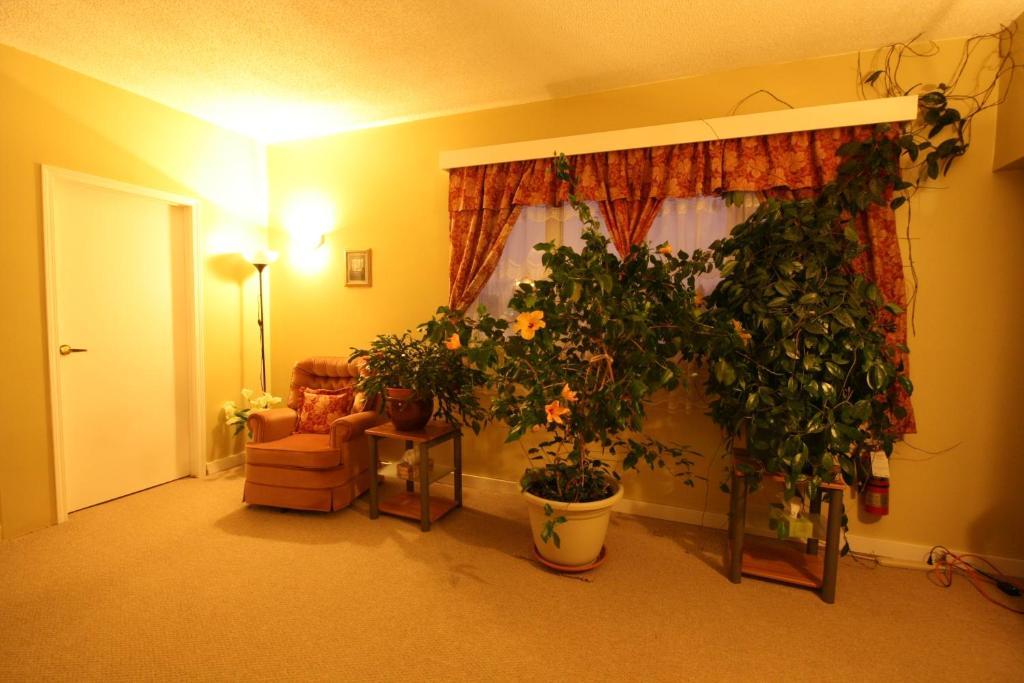 Villa Maria Country Inn Acheson Esterno foto
